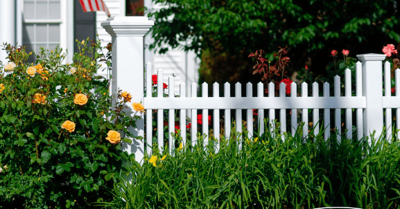 Advantages of Growing Plants Along Vinyl Fences