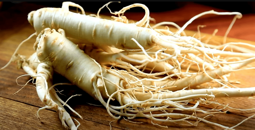Care and Maintenance of Siberian Ginseng