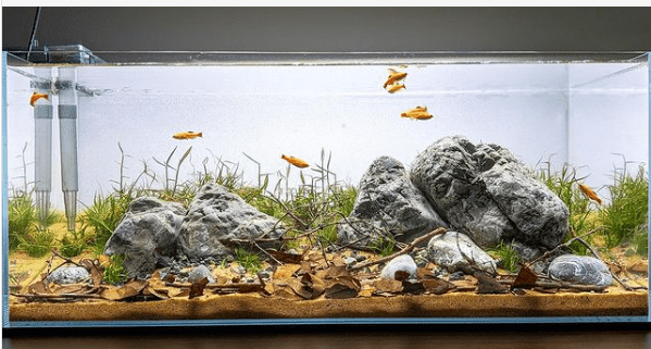 Sponge Filter vs. Other Filtration Systems