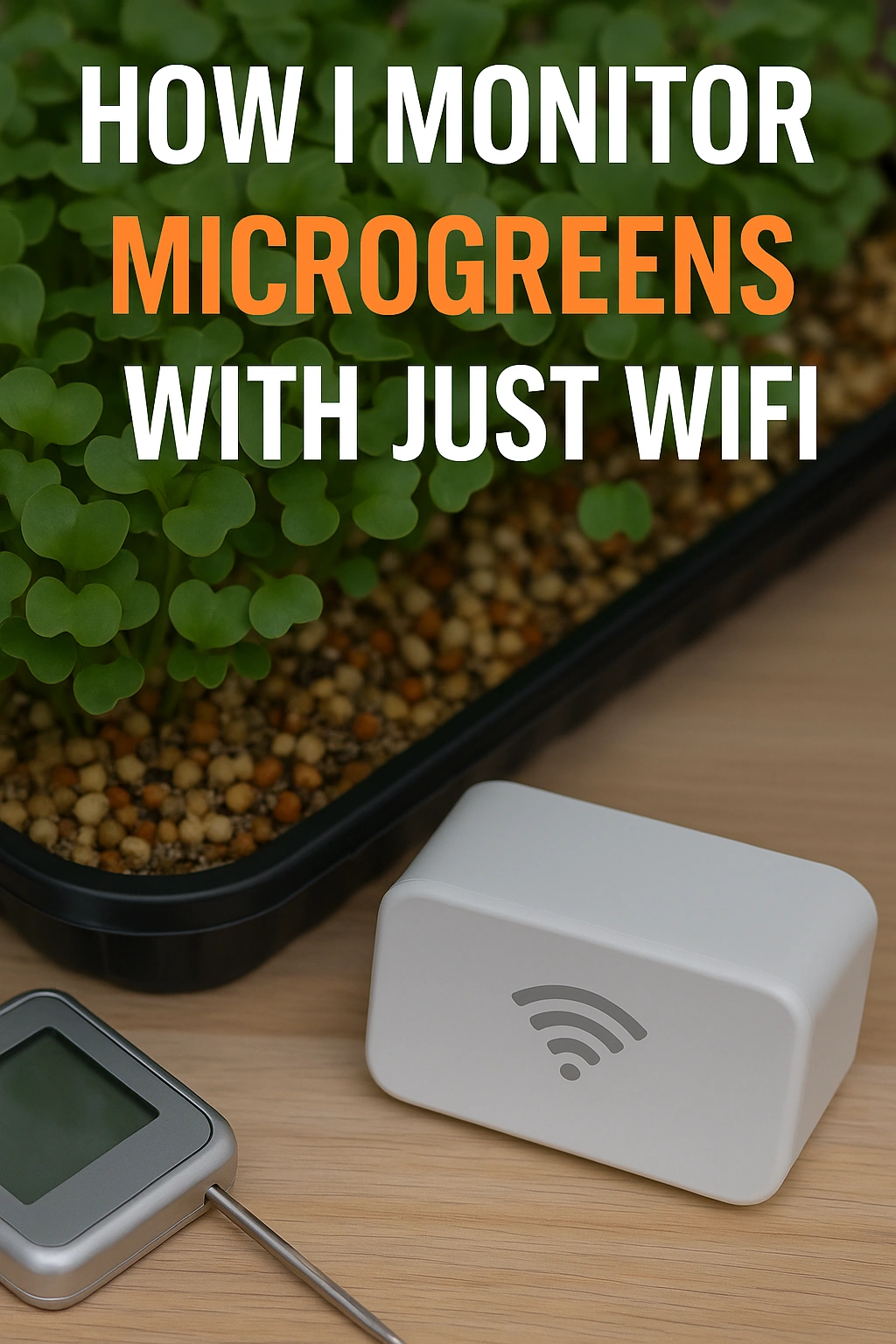 How I Monitor Microgreens with Just WiFi