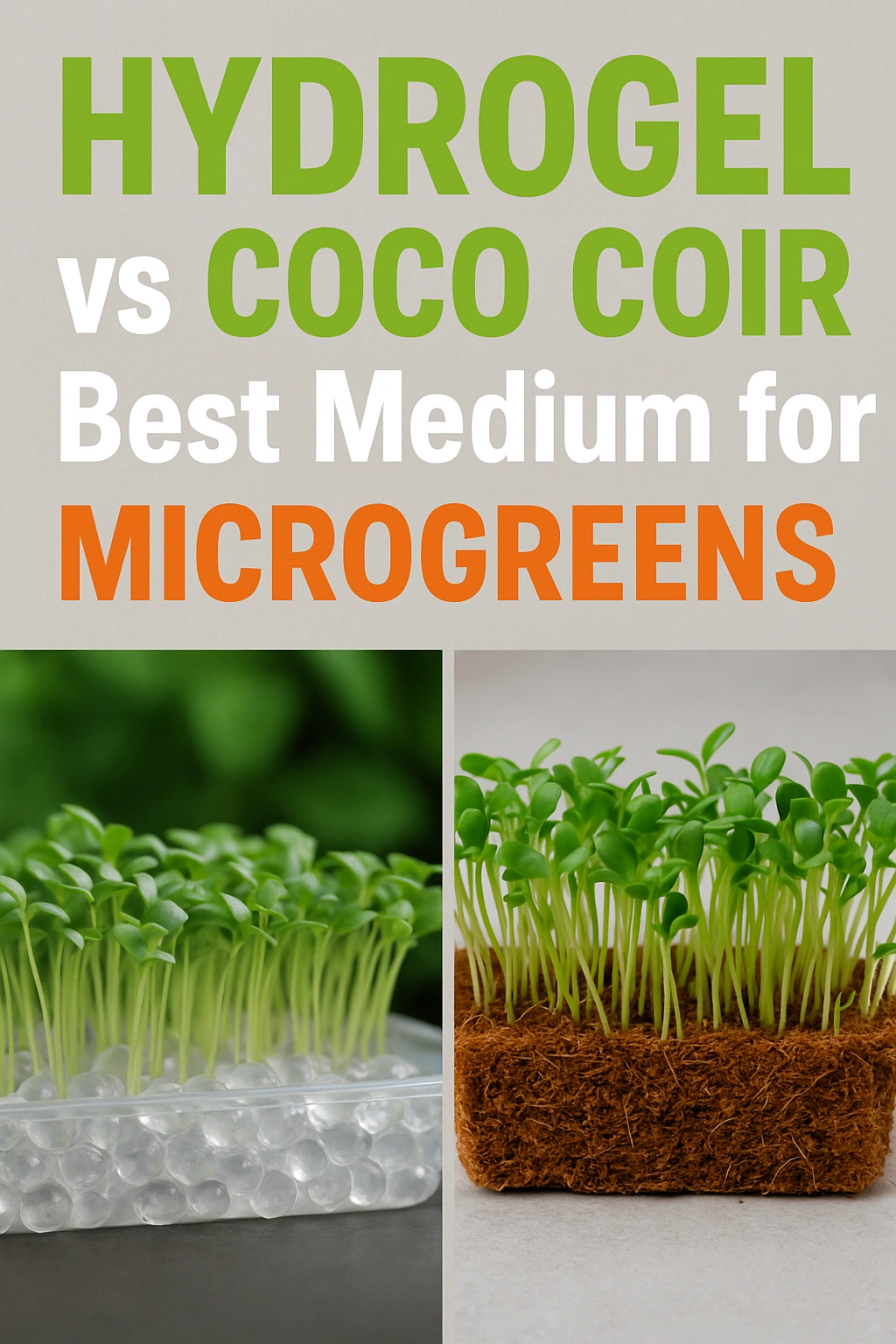 Hydrogel vs Coco Coir Best Medium for Smart Microgreens