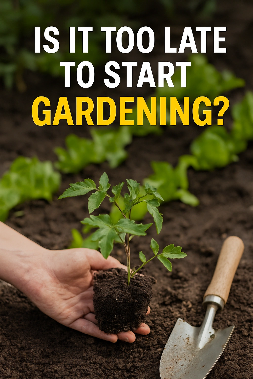 Is It Too Late to Start Gardening