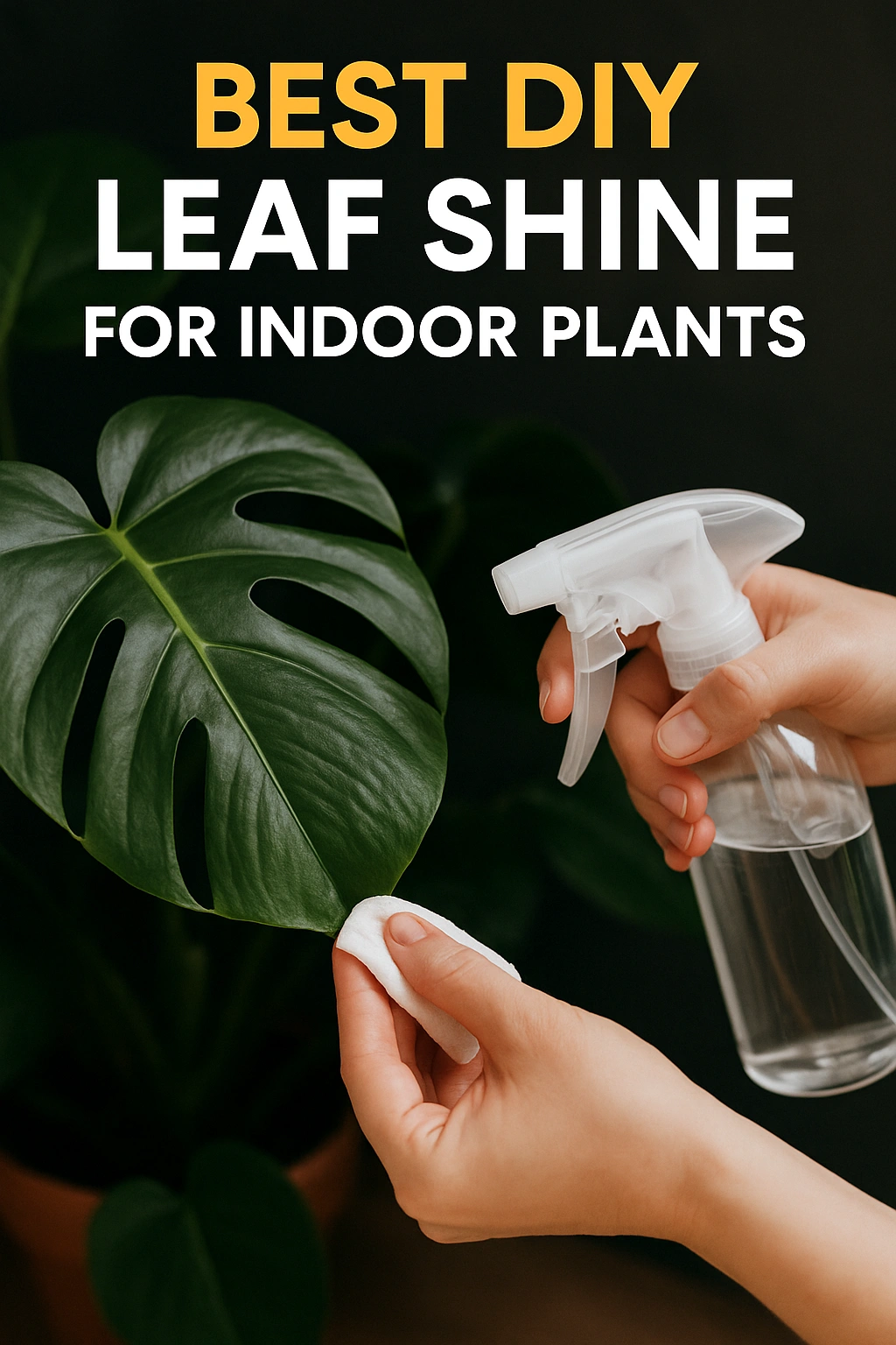 Best DIY Leaf Shine for Indoor Plants