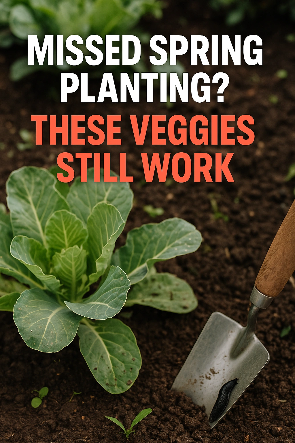 Missed Spring Planting These Veggies Still Work