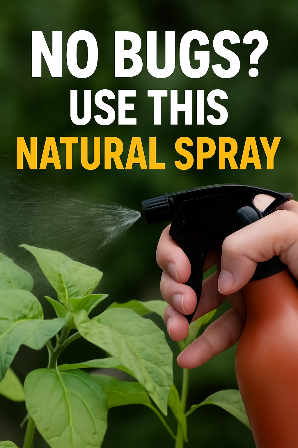 No Bugs Use This Natural Spray
