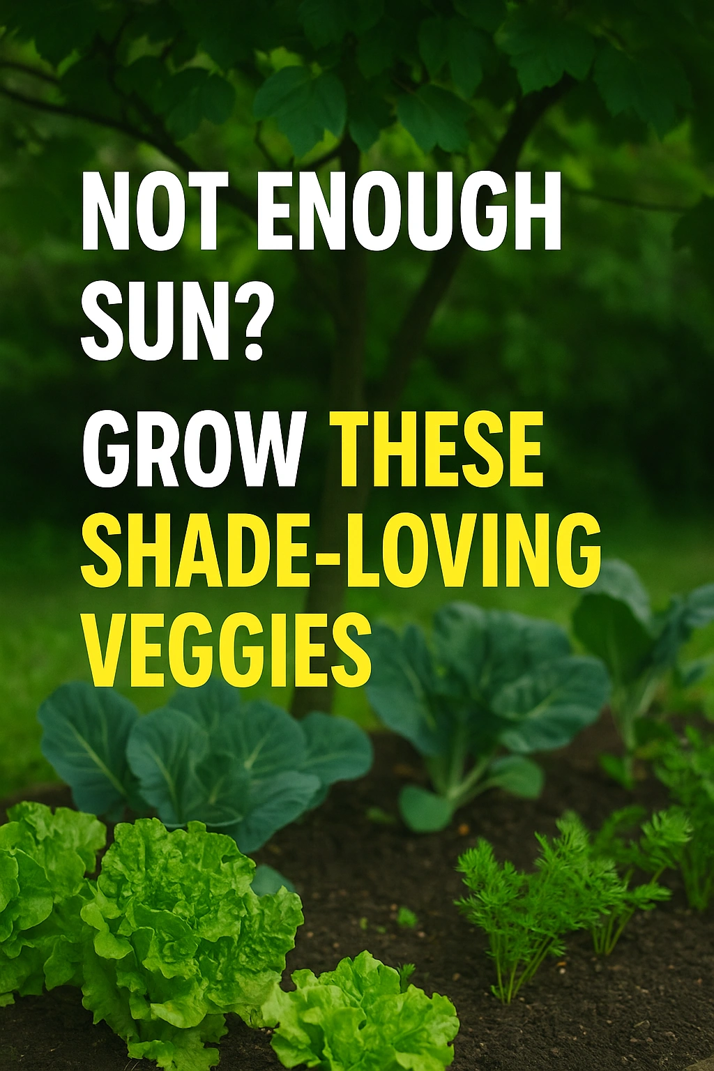 Not Enough Sun Grow These Shade-Loving Veggies