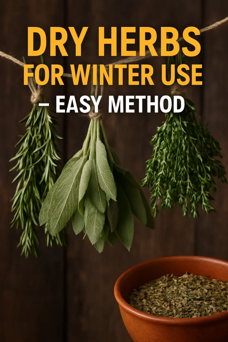 Dry Herbs for Winter Use — Easy Method
